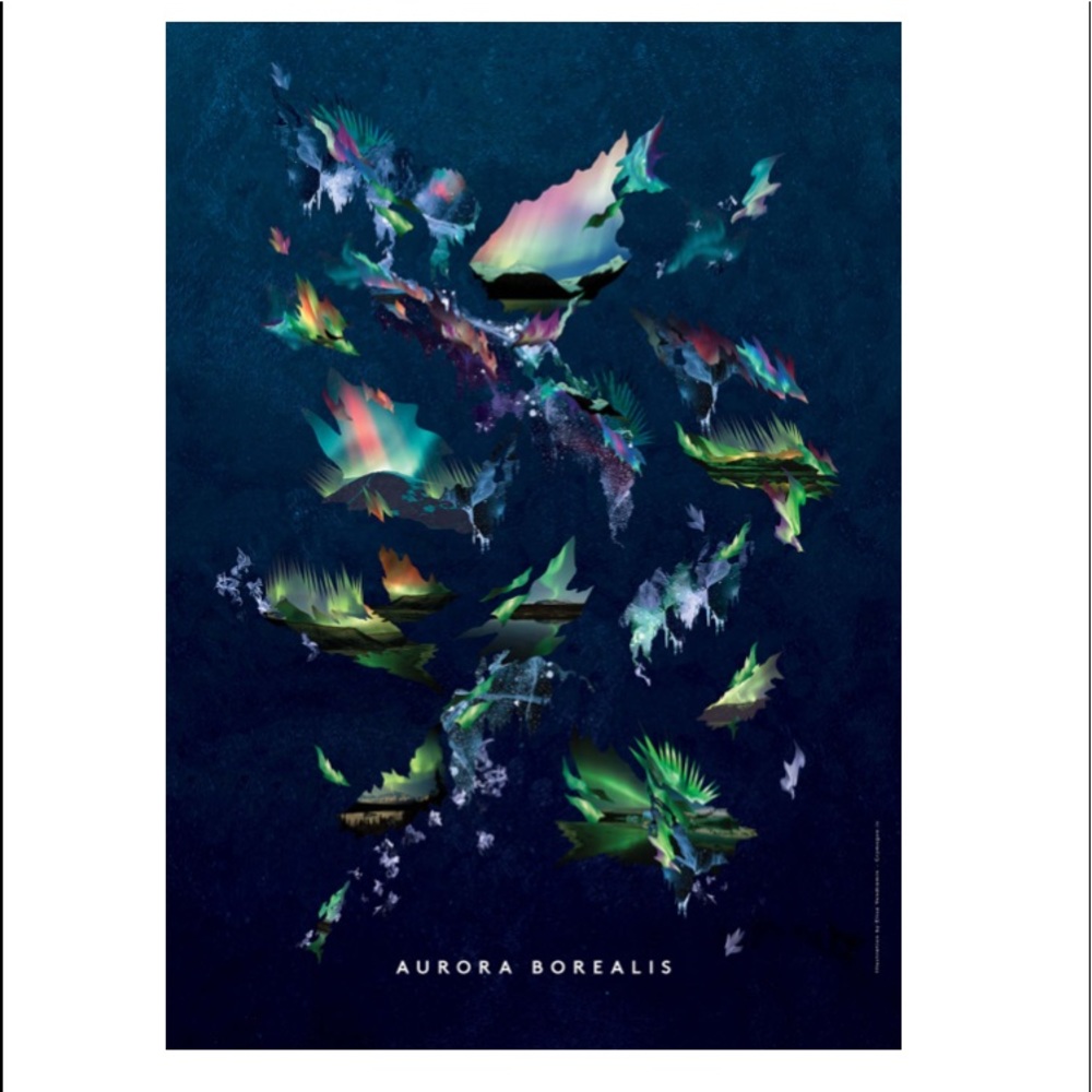Aurora Borealis Artist Poster